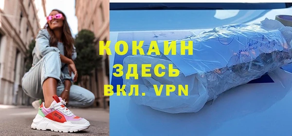 твердый Бородино