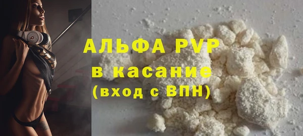 гашик Богданович