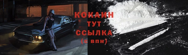 гашик Богданович