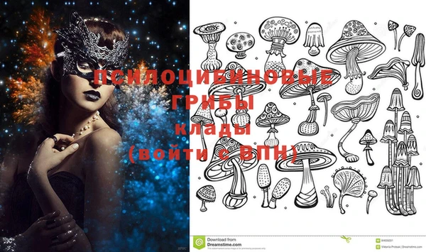 гашик Богданович