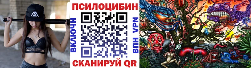 Галлюциногенные грибы ЛСД  Старица 
